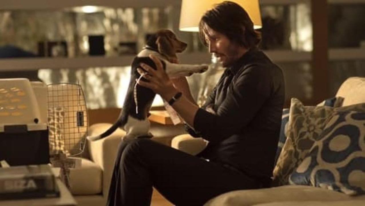 مشاهدة فيلم John Wick 1 2014 مترجم 