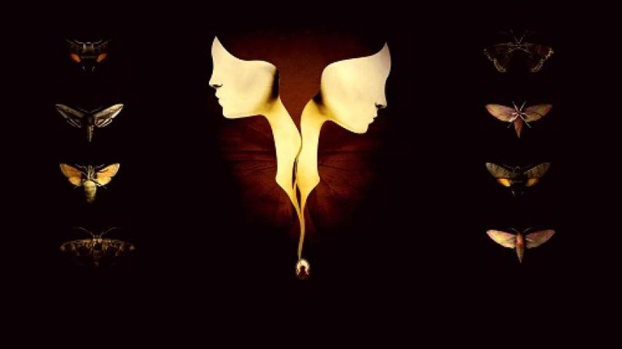 مشاهدة فيلم The Duke of Burgundy 2014 مترجم 